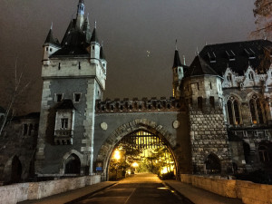 castle-in-budapest