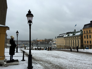 stockholm-palace-guards