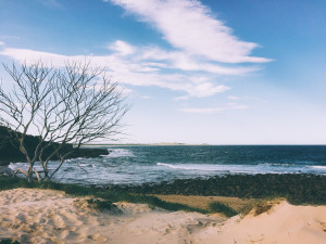 angourie-point