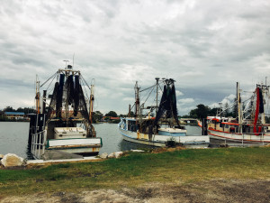 yamba-fishing-trawlers